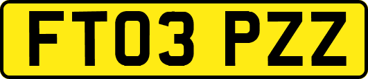 FT03PZZ