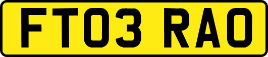 FT03RAO