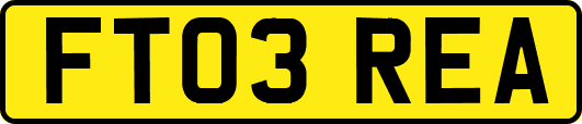 FT03REA