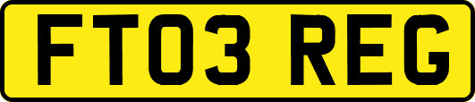 FT03REG