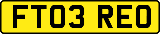 FT03REO