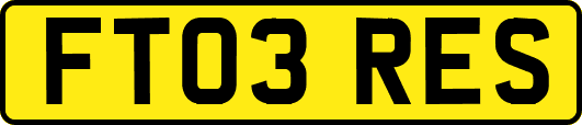FT03RES