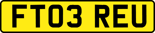 FT03REU
