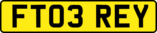 FT03REY
