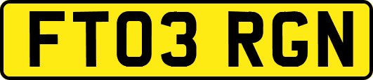 FT03RGN