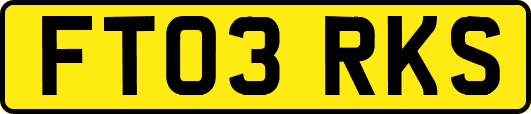 FT03RKS