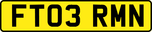 FT03RMN