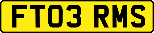 FT03RMS