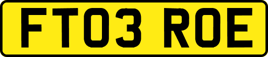 FT03ROE