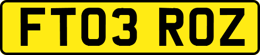 FT03ROZ