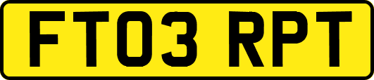FT03RPT