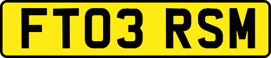 FT03RSM