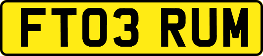 FT03RUM
