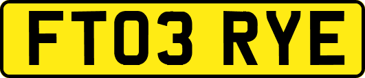 FT03RYE