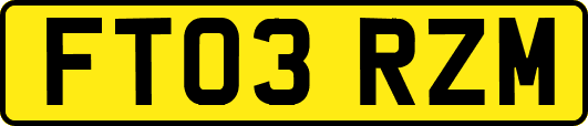 FT03RZM