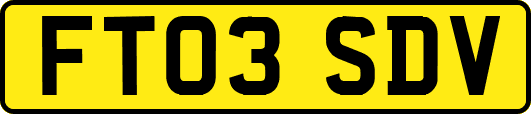 FT03SDV