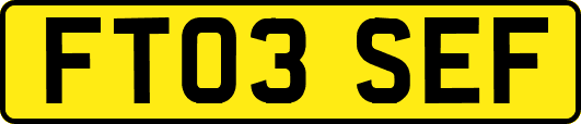 FT03SEF