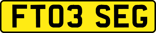 FT03SEG