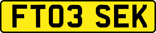 FT03SEK