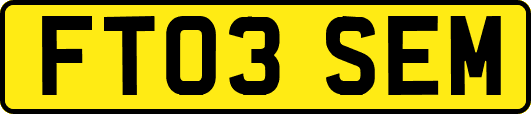 FT03SEM