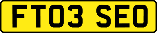 FT03SEO