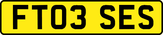FT03SES