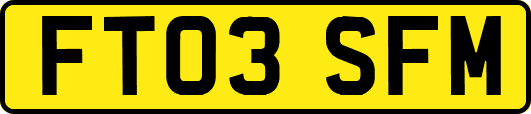 FT03SFM