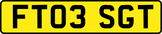 FT03SGT