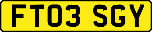 FT03SGY