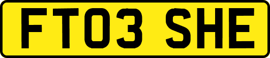 FT03SHE