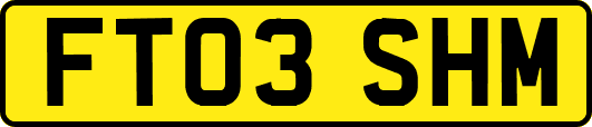 FT03SHM