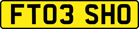 FT03SHO