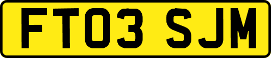 FT03SJM