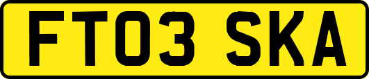 FT03SKA