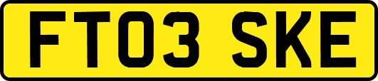 FT03SKE