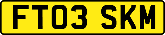 FT03SKM