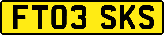 FT03SKS