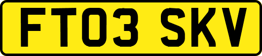 FT03SKV