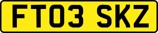 FT03SKZ