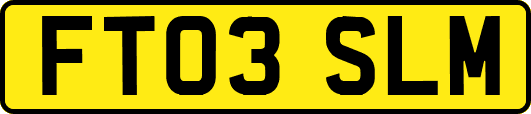 FT03SLM