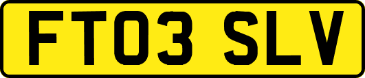 FT03SLV