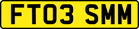 FT03SMM