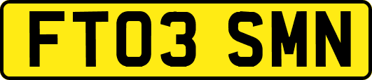 FT03SMN