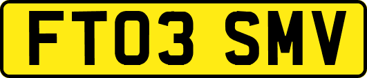 FT03SMV