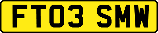 FT03SMW