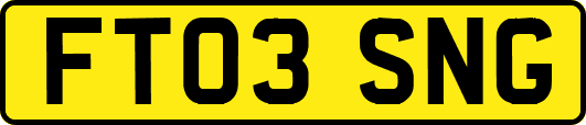 FT03SNG