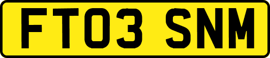 FT03SNM