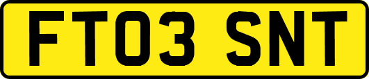 FT03SNT
