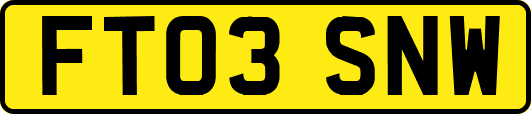 FT03SNW