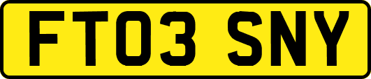 FT03SNY